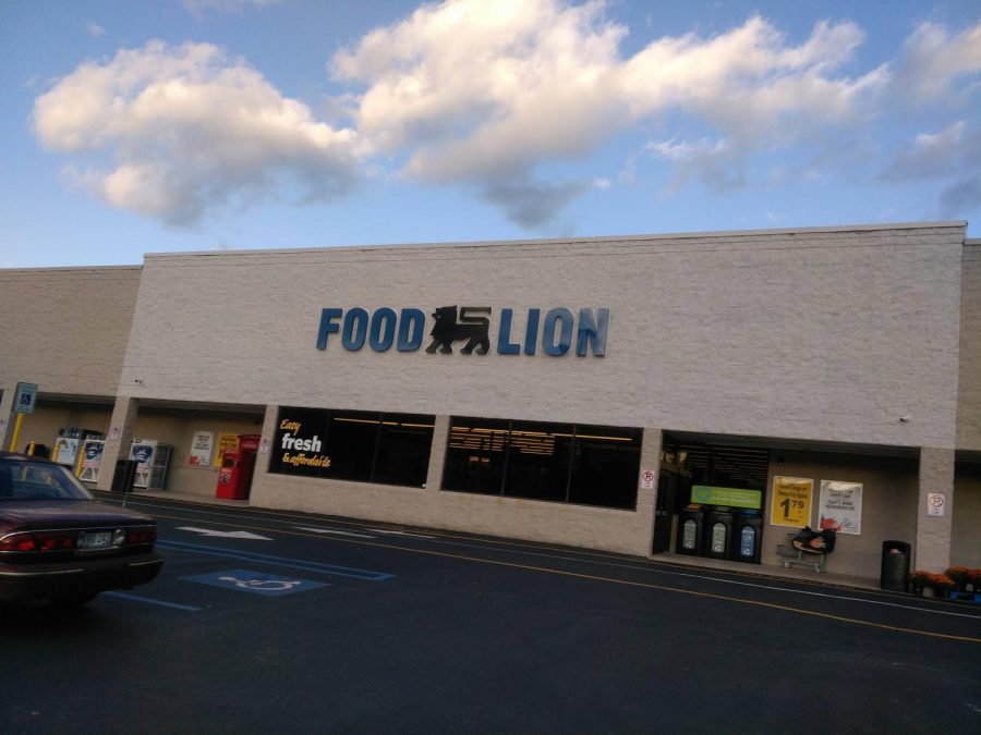 The Food Lion store in White Sulphur Springs.