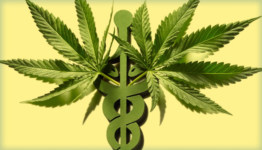 Marijuana+leaves+on+the+staff+of+Aesculapius+%28the+medical+symbol%29.