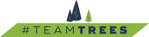 All donations to Team Trees go to the Arbor Day Foundation, an organization that plants one tree for every dollar they receive.