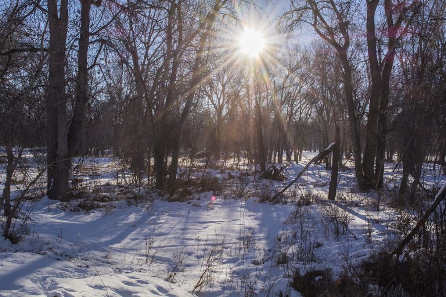 The cold is snow fun. 