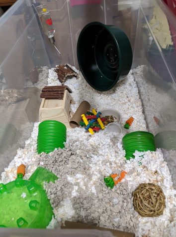 Proper hamster clearance cage