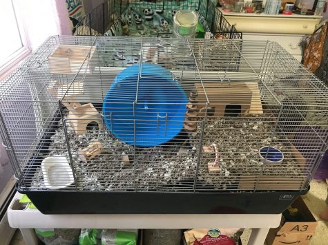 Prevue 528 outlet hamster cage