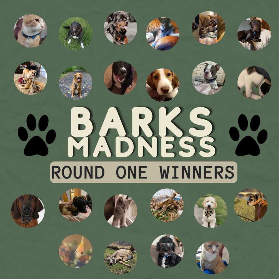 The round one winners of Barks Madness are here!