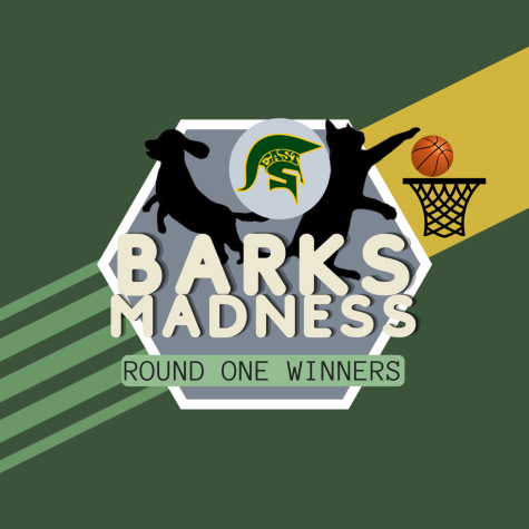 The winners of round one of Barks Madness are here! Click the link to vote round two!