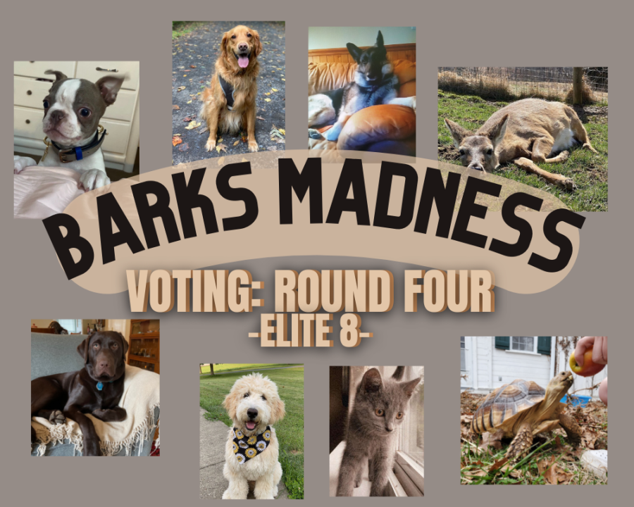 Round 4 of Barks Madness is here!