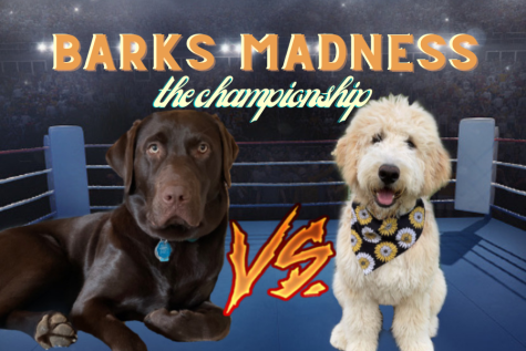 Barks Madness: THE CHAMPIONSHIP!