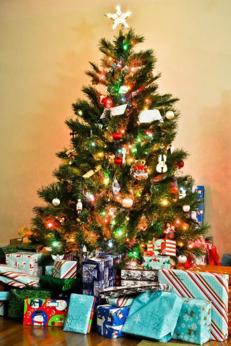 Real Christmas tree with lights. Photo credit: Freerange Stock on Pexels.
