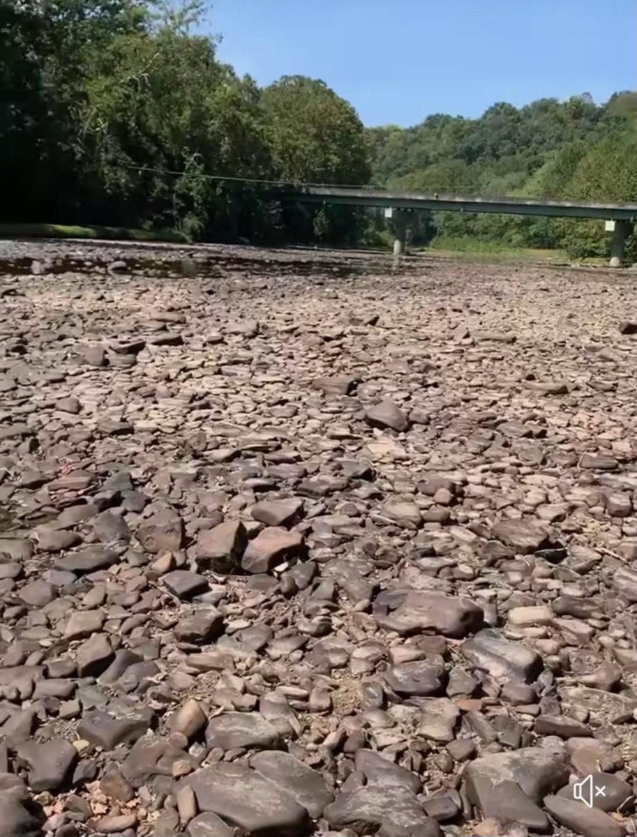 Greenbrier Riverbed in Renick during August. Photo credit: Jaden Dorsey