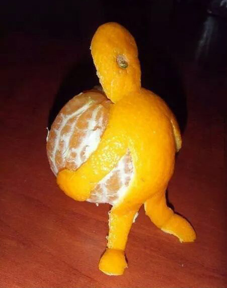 Sometimes you just have to pick yourself up and carry on. Image credit: Memedroid.com