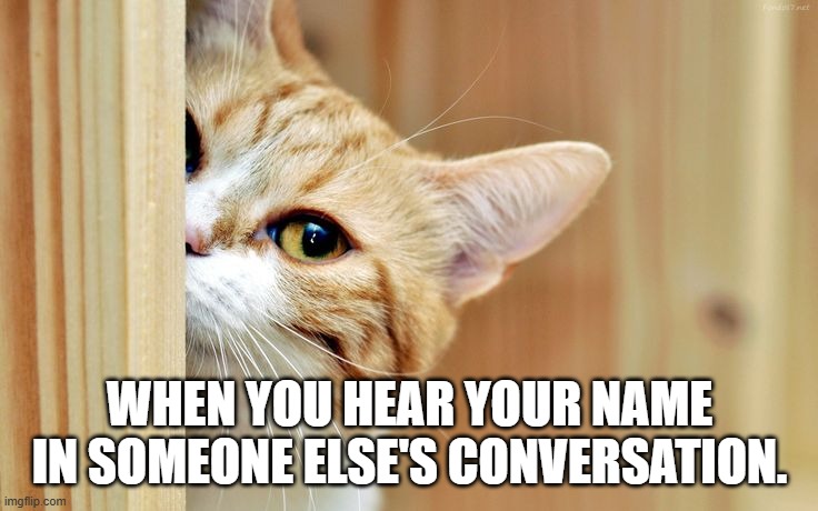 Meme of the Week